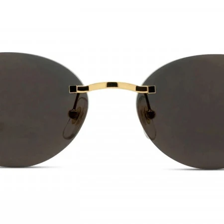 Cartier™ - CT0504S Panthère De Cartier görsel 2