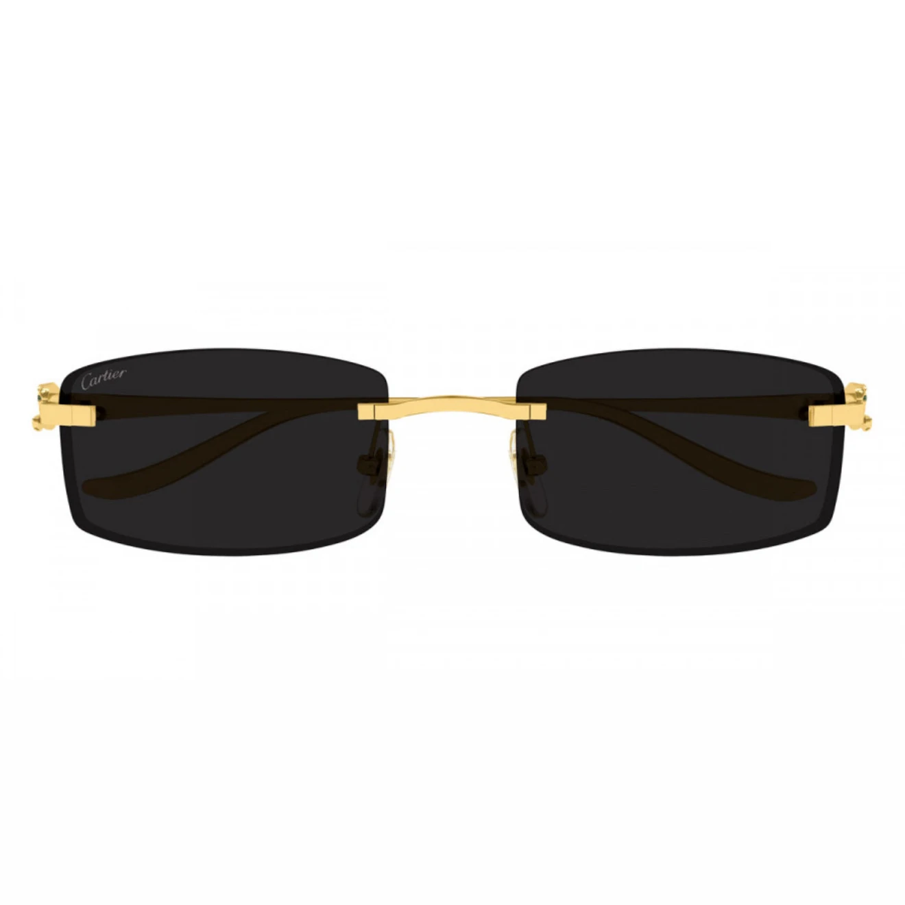 Cartier - CT0552S Black görsel 2